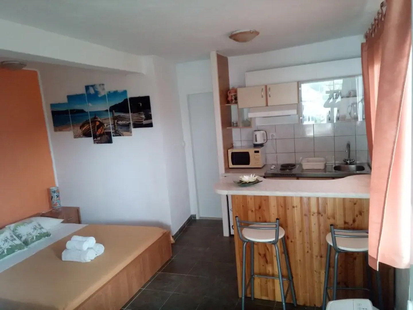 Apartment Iva
