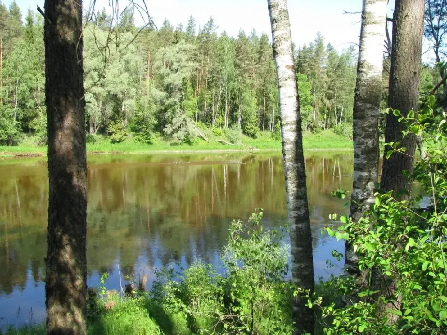 Guest House Gaujaspriedes