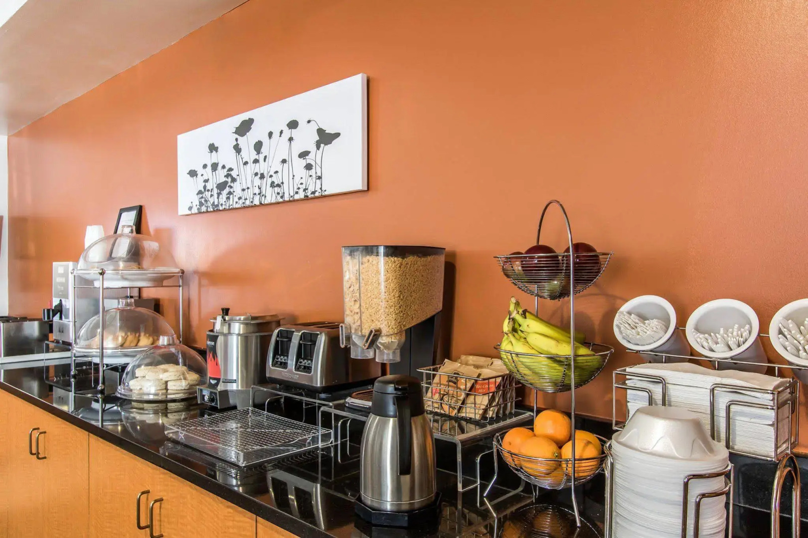 Sleep Inn & Suites Lebanon - Nashville Area