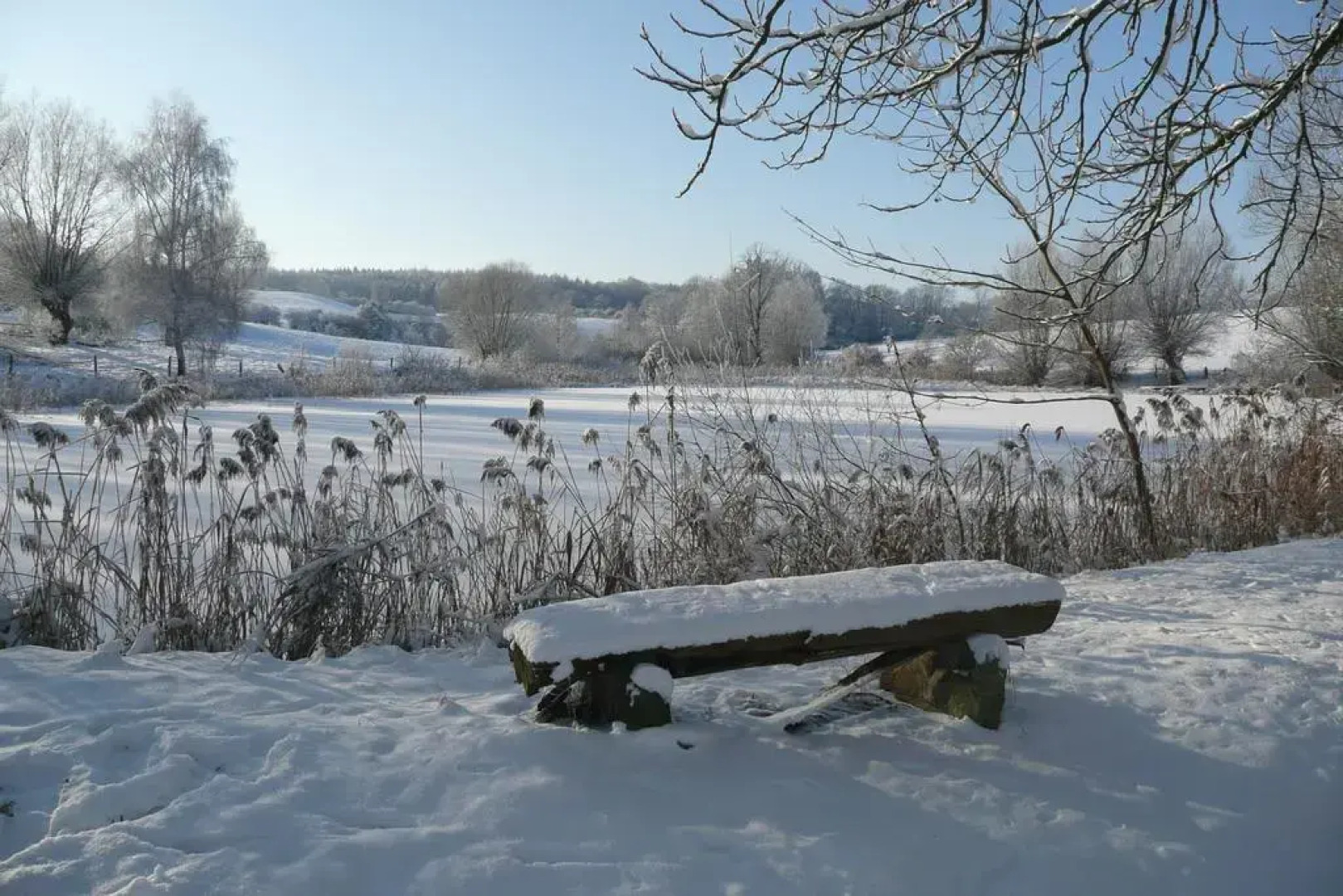 Hotel Schloss & Gut Ulrichshusen