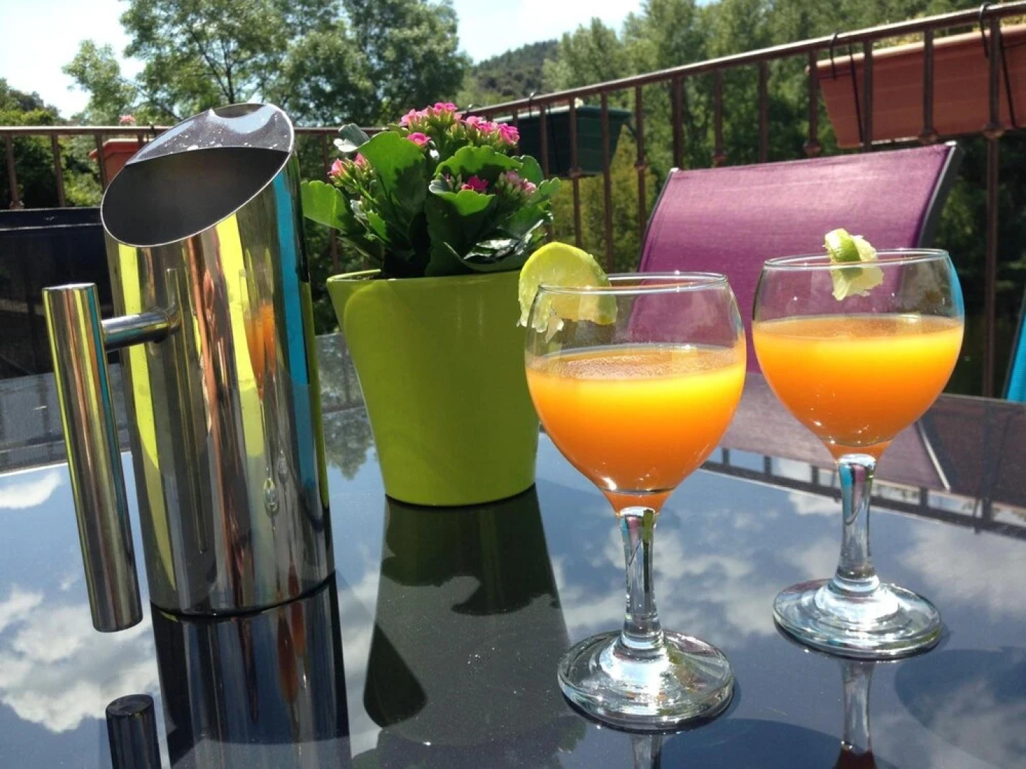 Le Moulin de Sournia - Gites