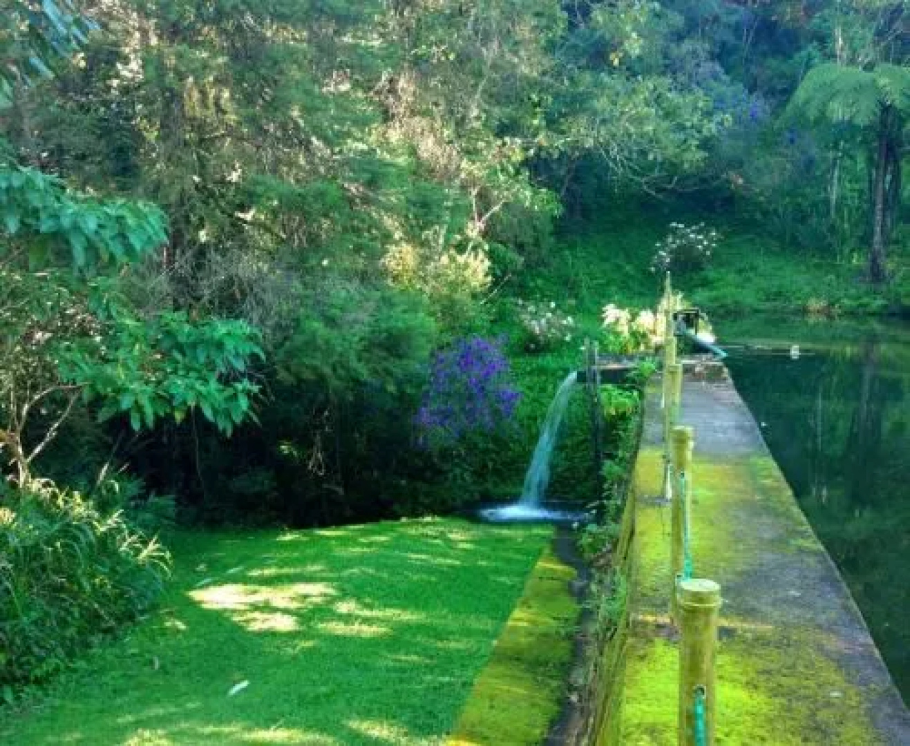 Pousada Um Lugar de Mato Verde