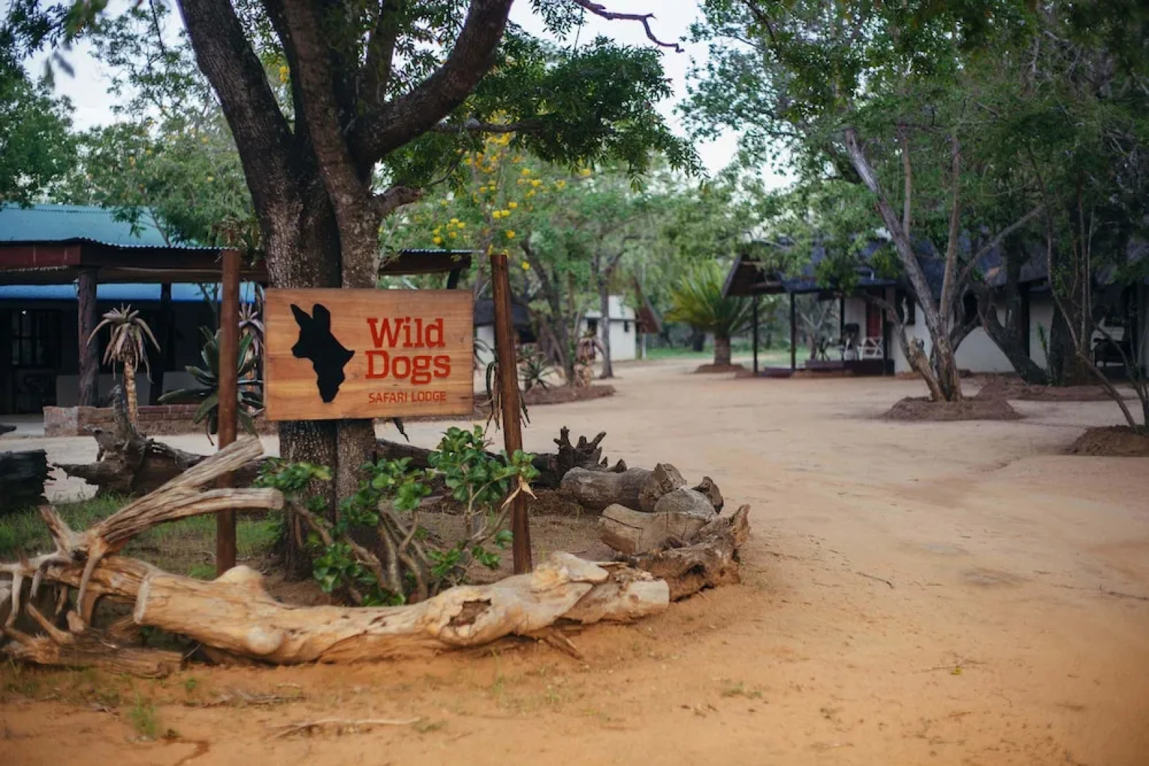Wild Dogs Safari Lodge