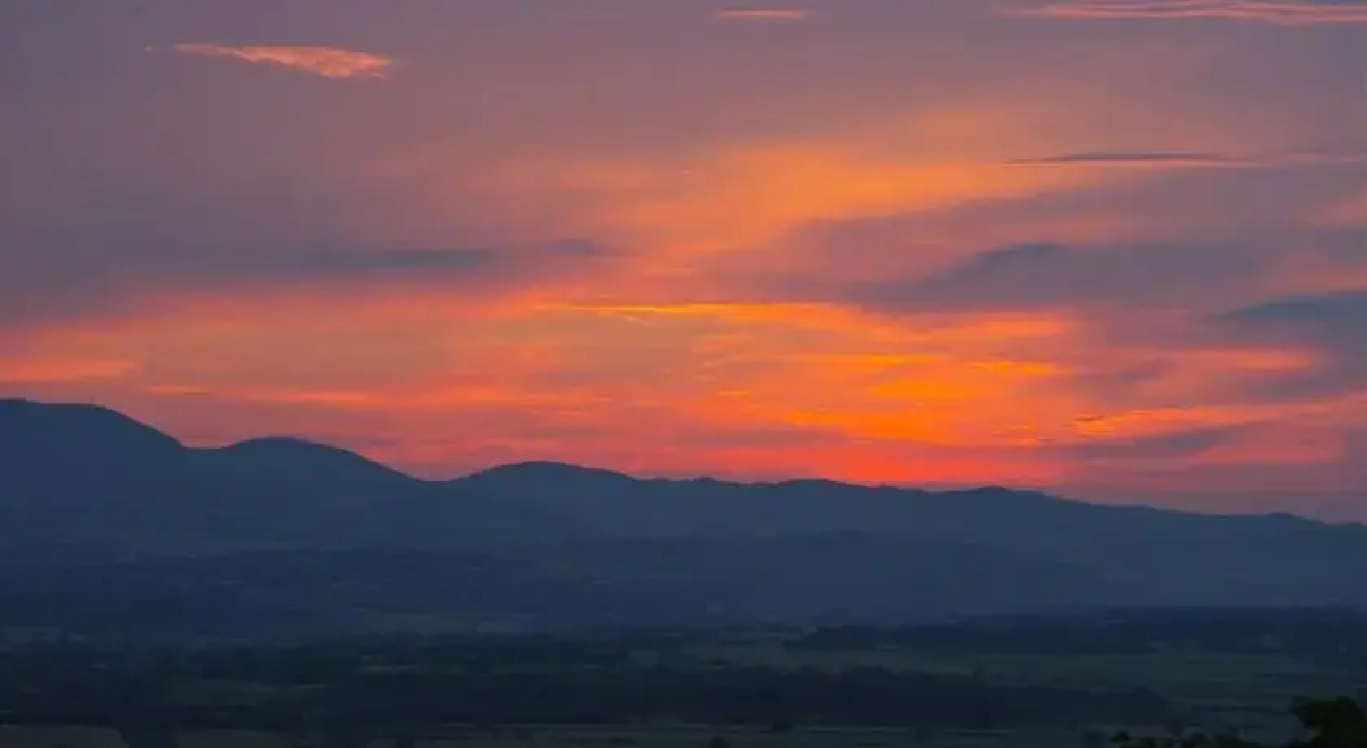 The Saffron Country House