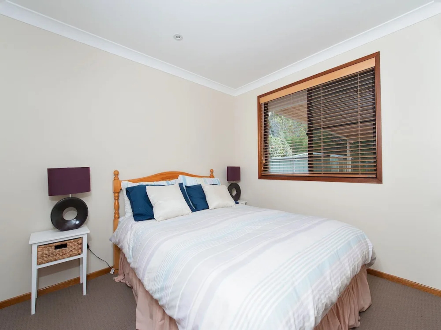 Wildflowers at Fingal Bay