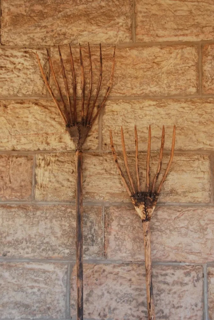 Sandstone Chameleon Guesthouse Fouriesburg