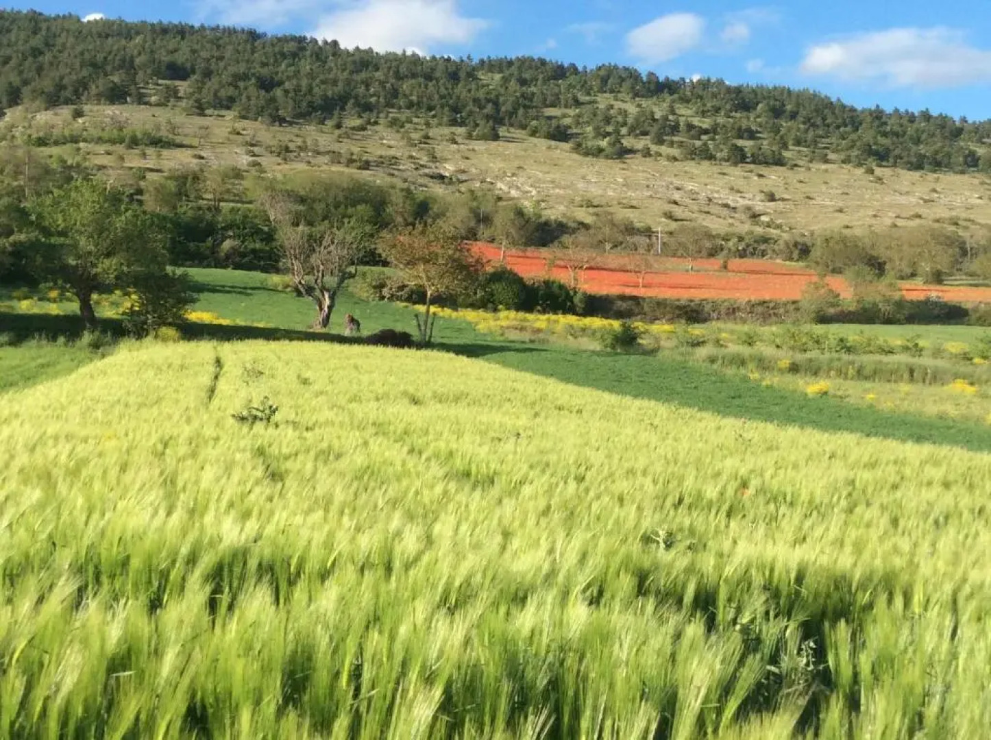 da sciuri case vacanza Barisciano