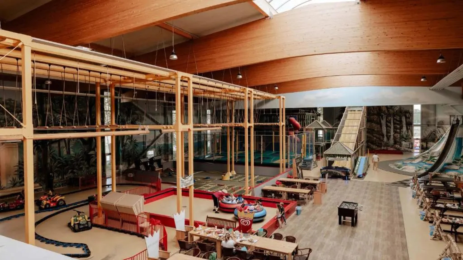 Auszeit am Alfsee, im Lichterwald