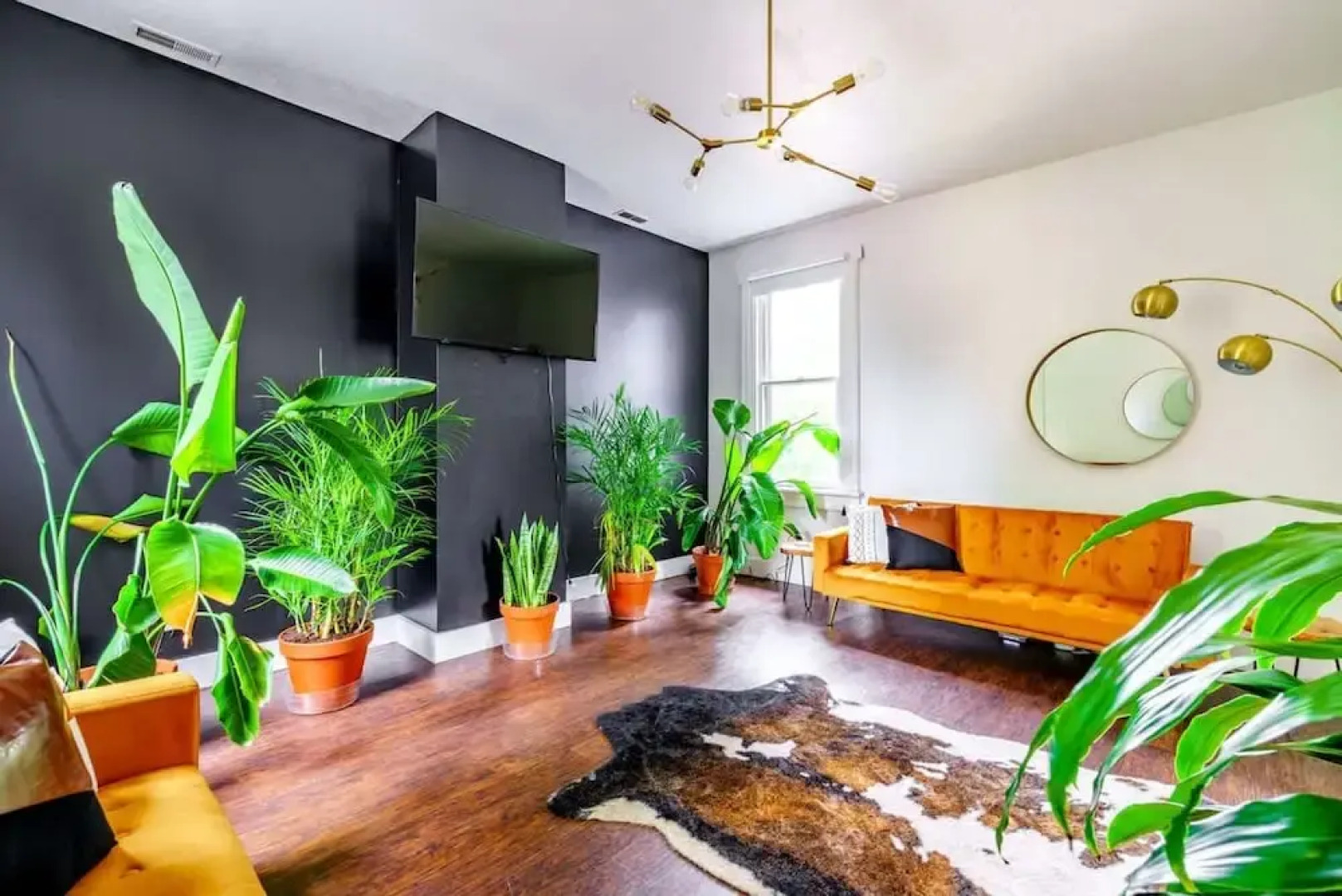 Prime Location Top Rated Clean Parking Free