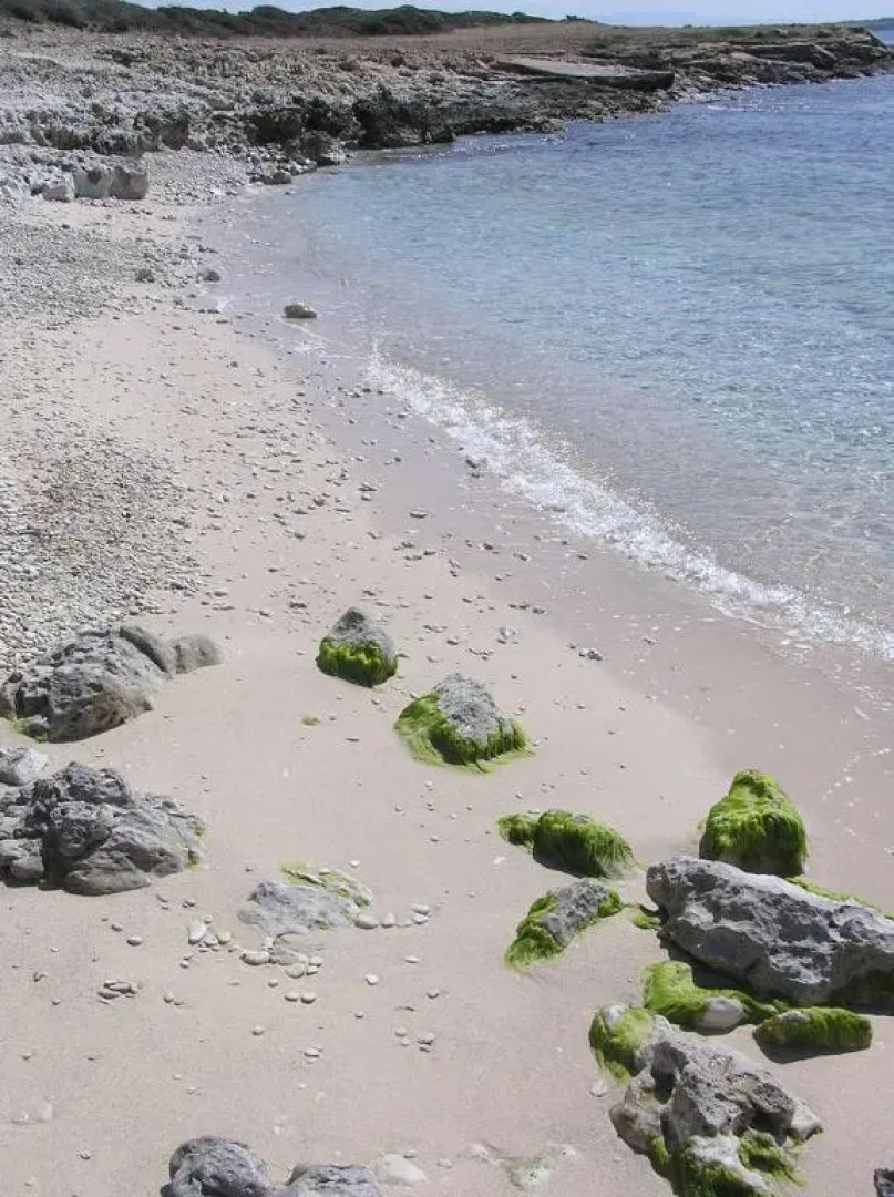 Casa Minicapo Mandriola