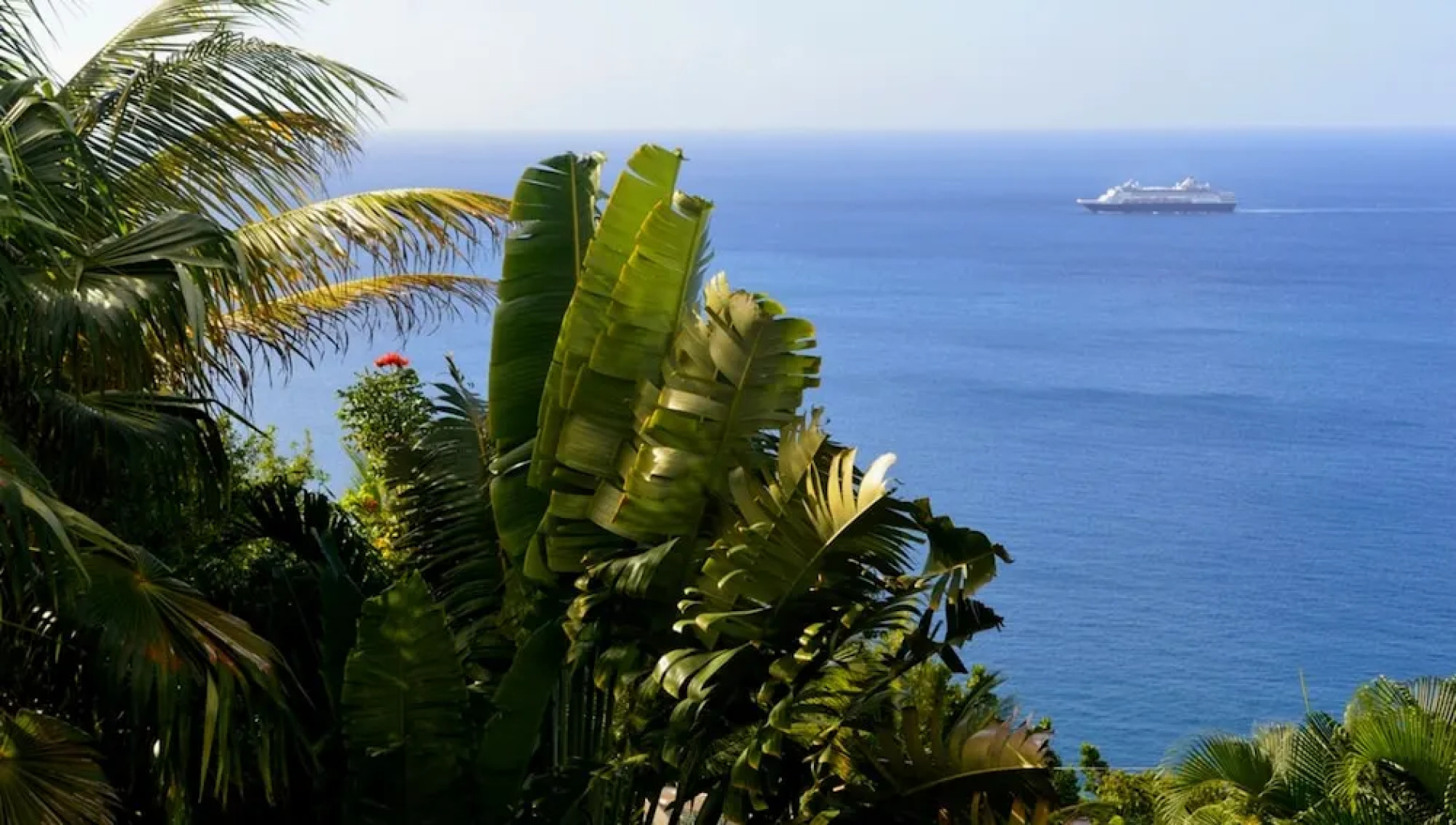 Nature's Paradise @ Marigot Bay