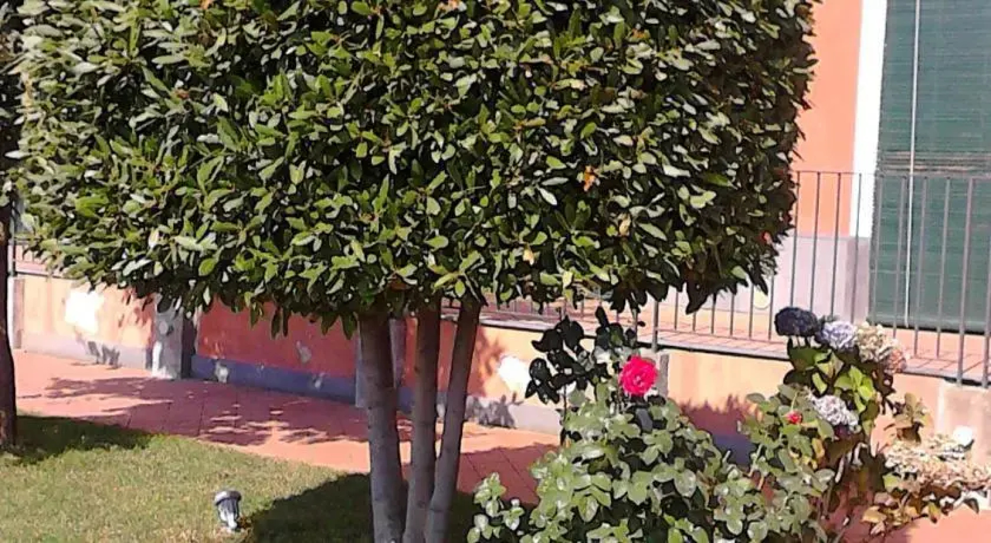 The Terrace of the Etna Milo