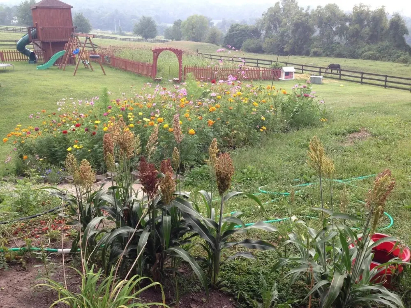 The Dragonfly Bed and Breakfast