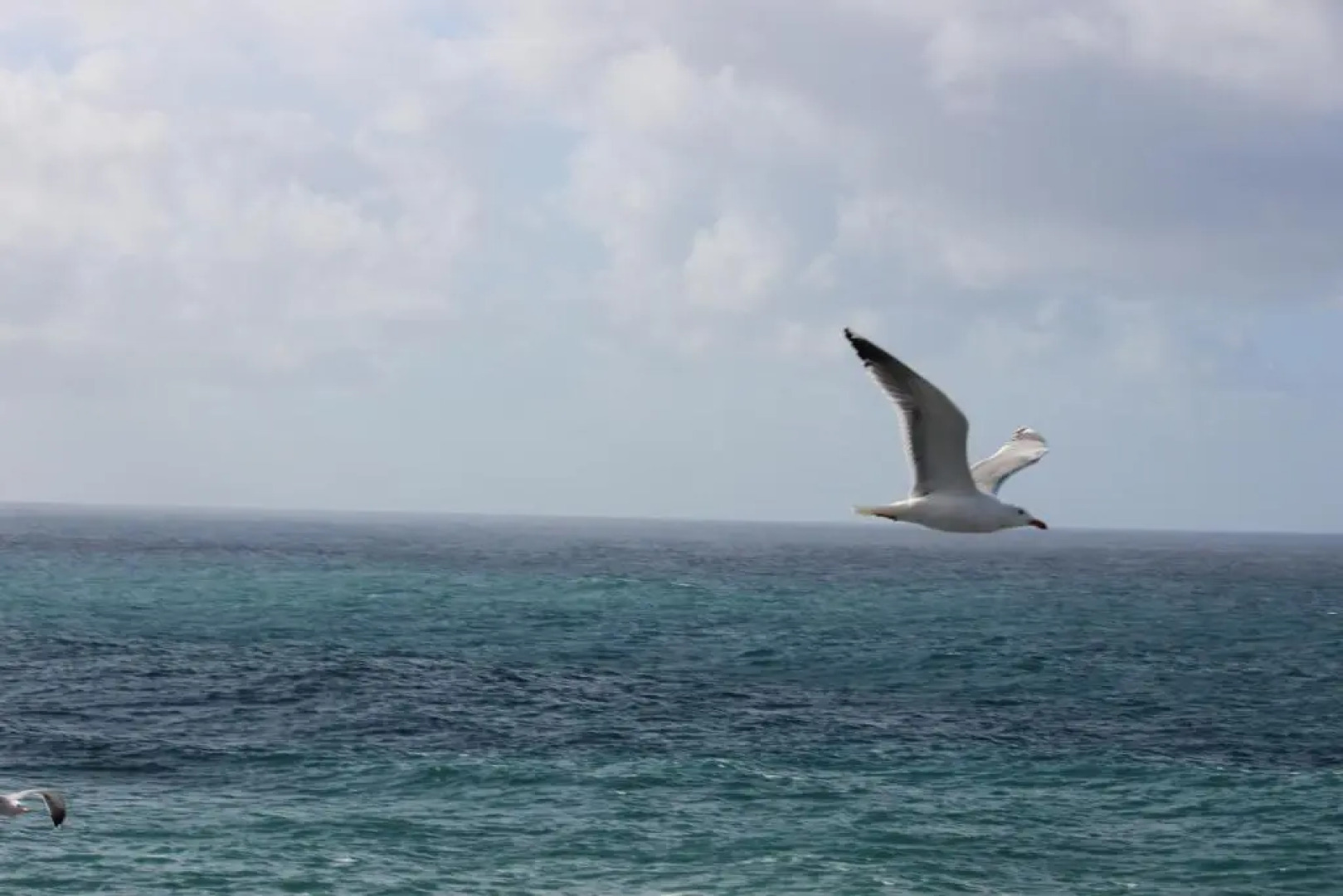 Acogedor apartamento con vista al mar.