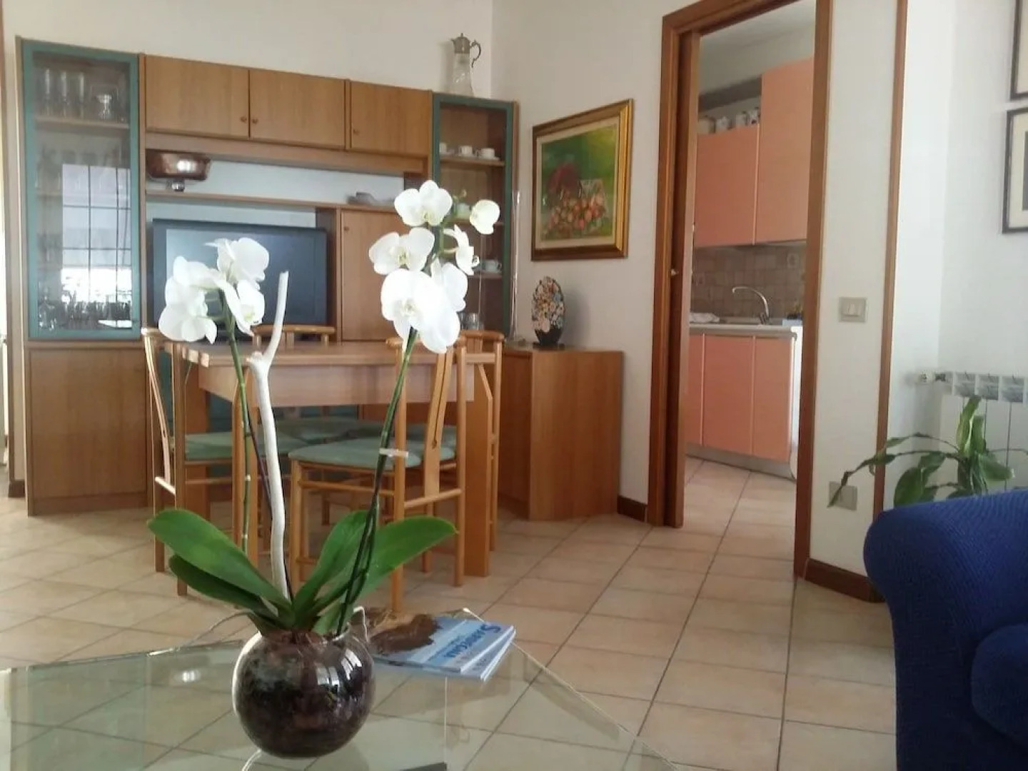 B&B Benjamin Exclusive protection no cohabitation