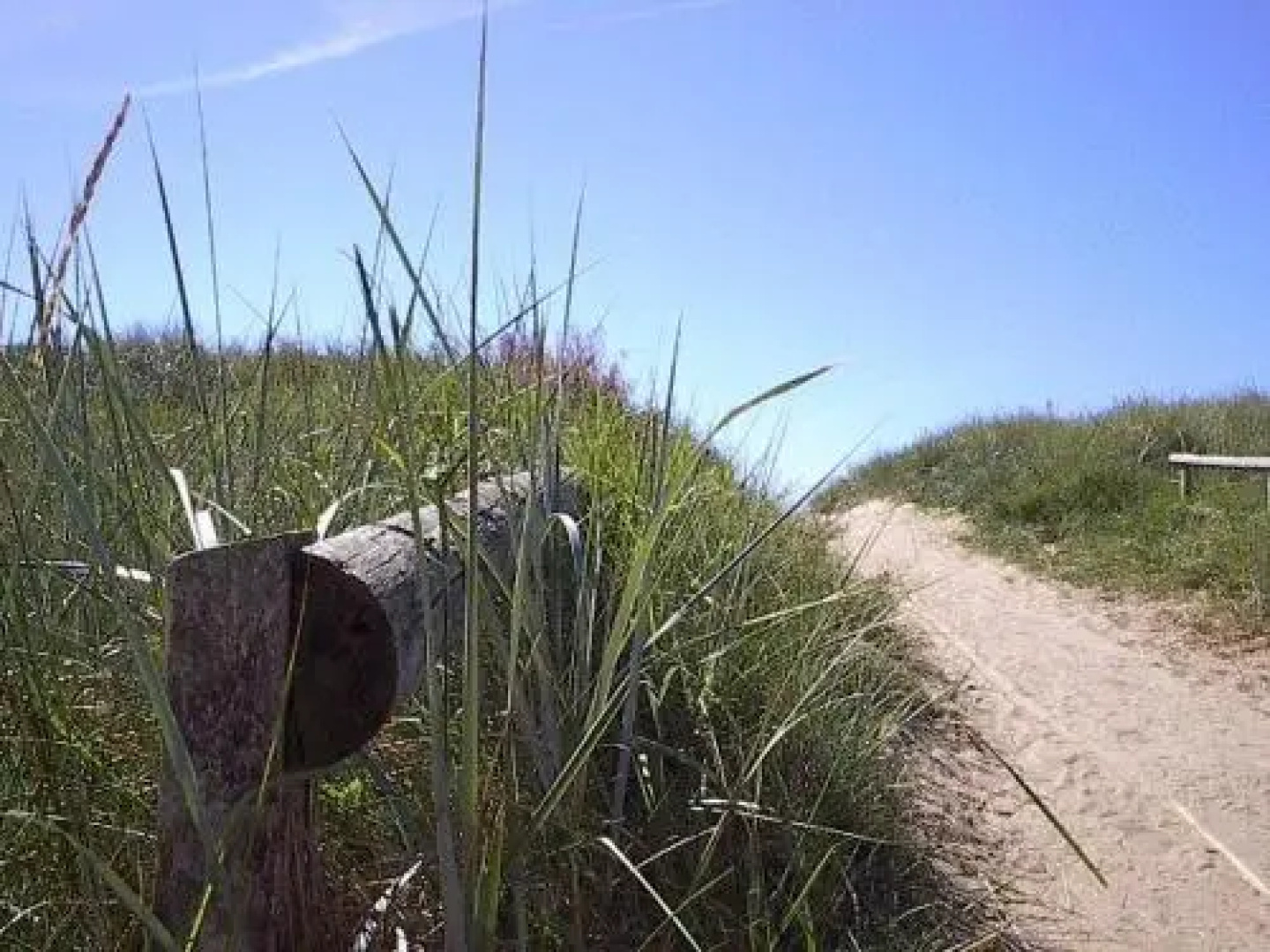 Skrea Camping