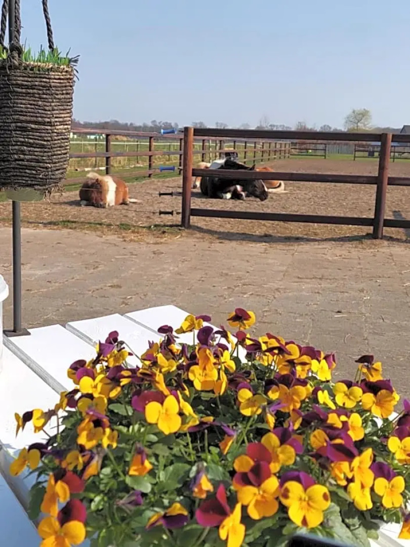 Bed & breakfast Achter ons huis