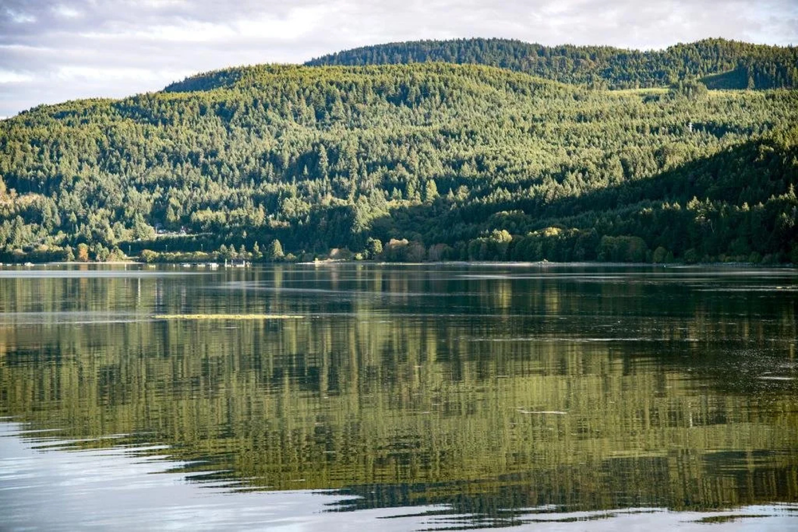 Country Bay Manor B&B