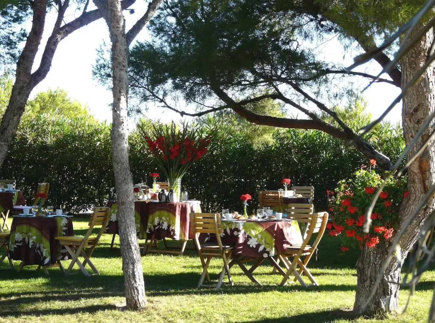 La Palmeraie des Calanques