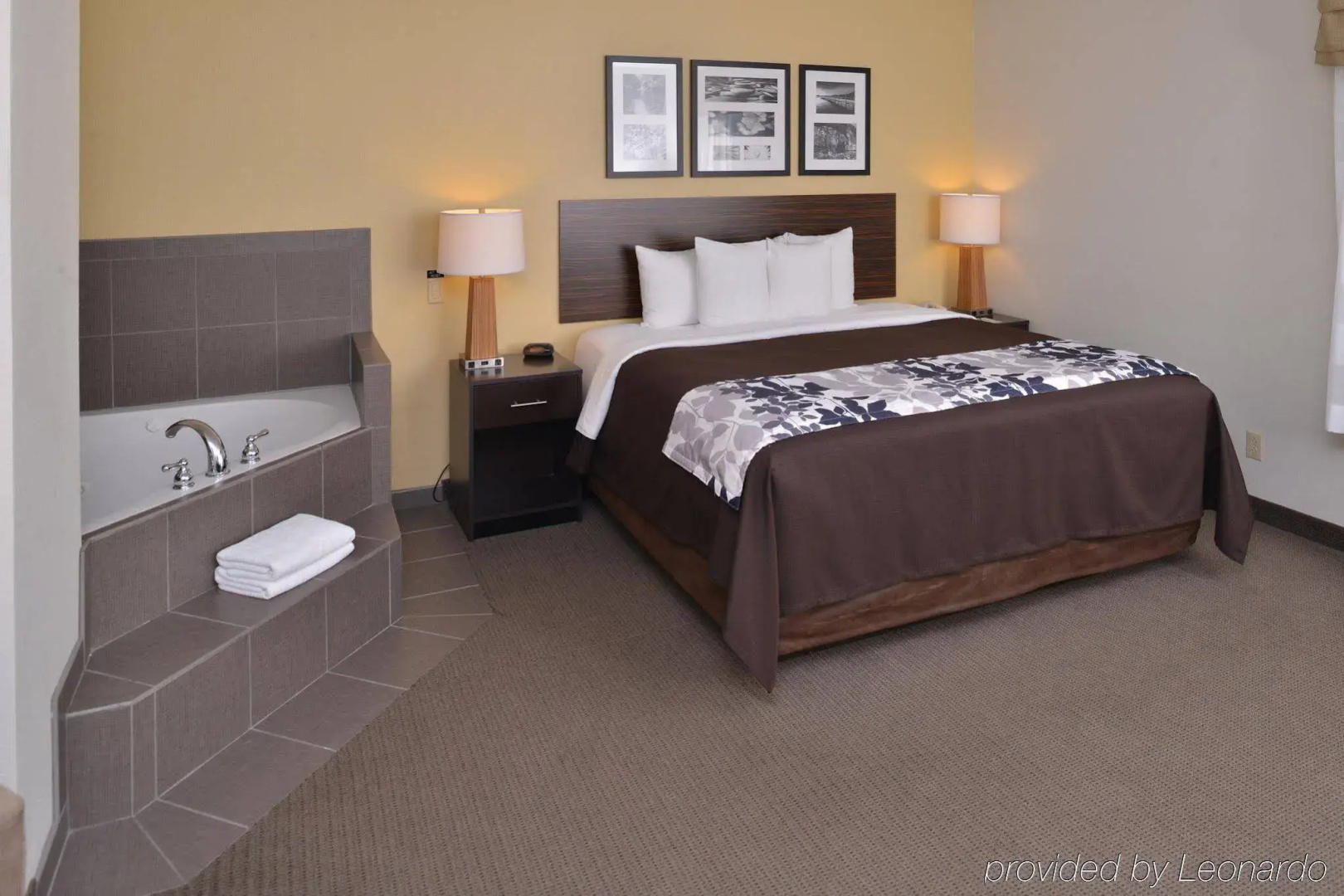 Sleep Inn & Suites Miles City