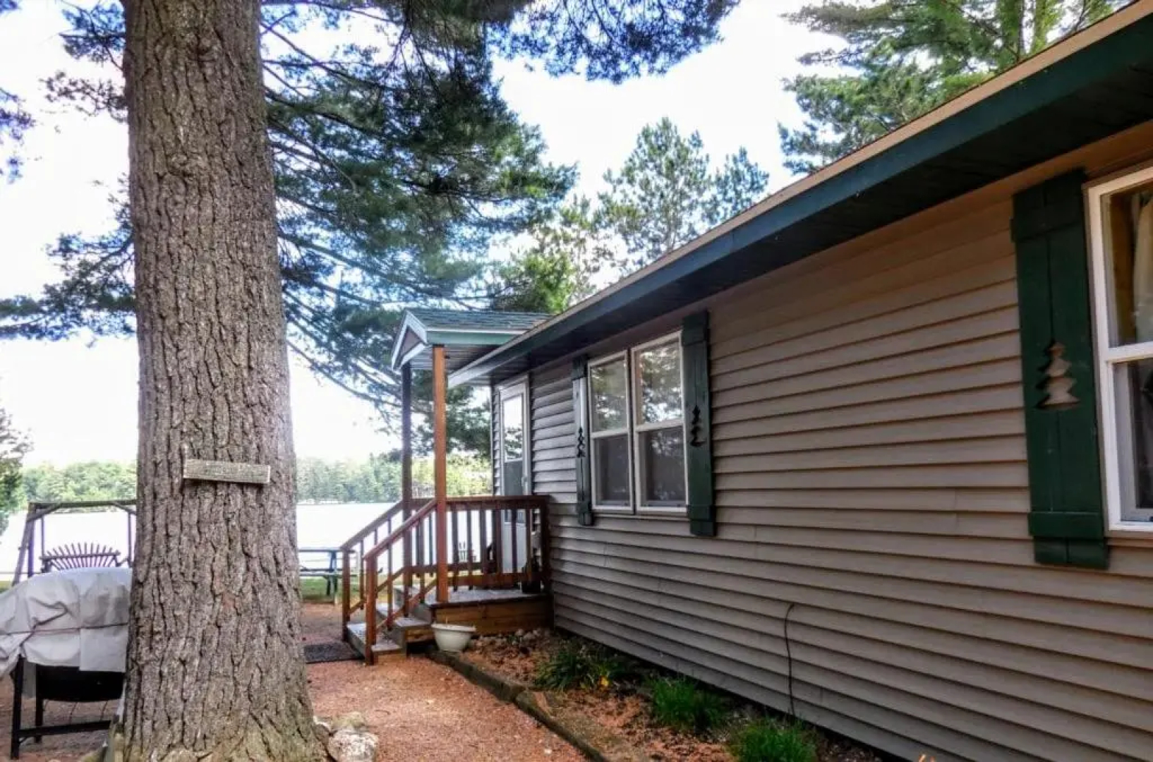 Knotty Pine- White Pine