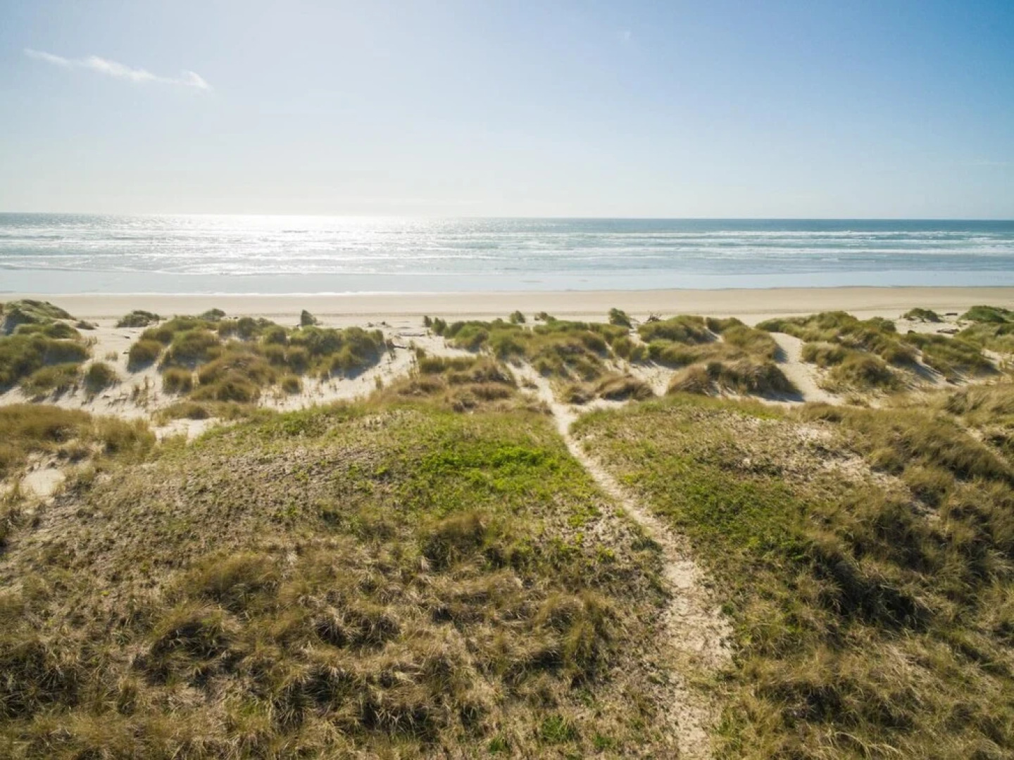 Daly's Oceanfront House