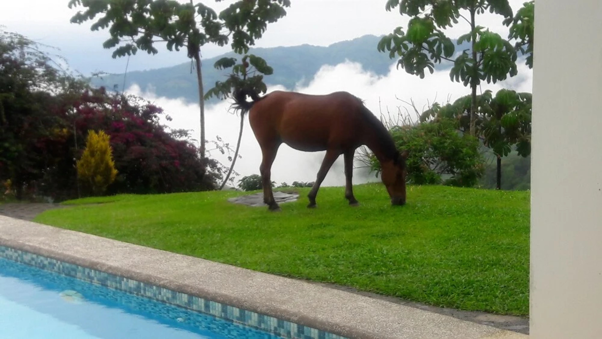 Rio Magnolia Nature Lodge