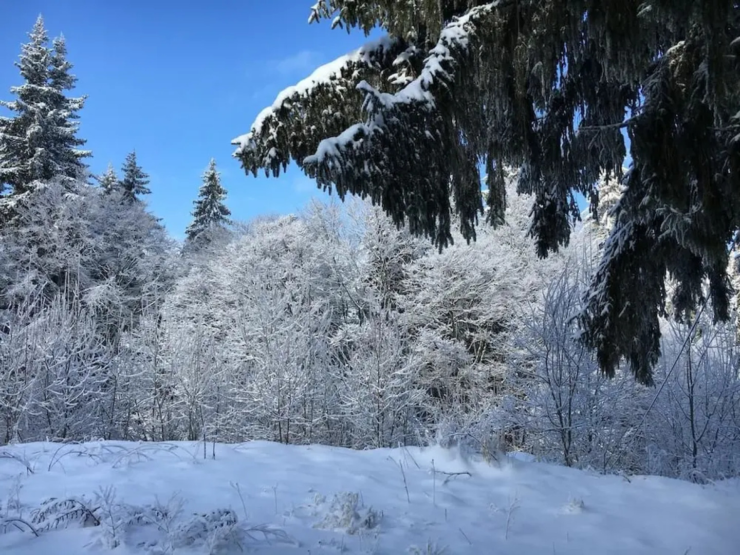 Hotel Panorama Pamporovo