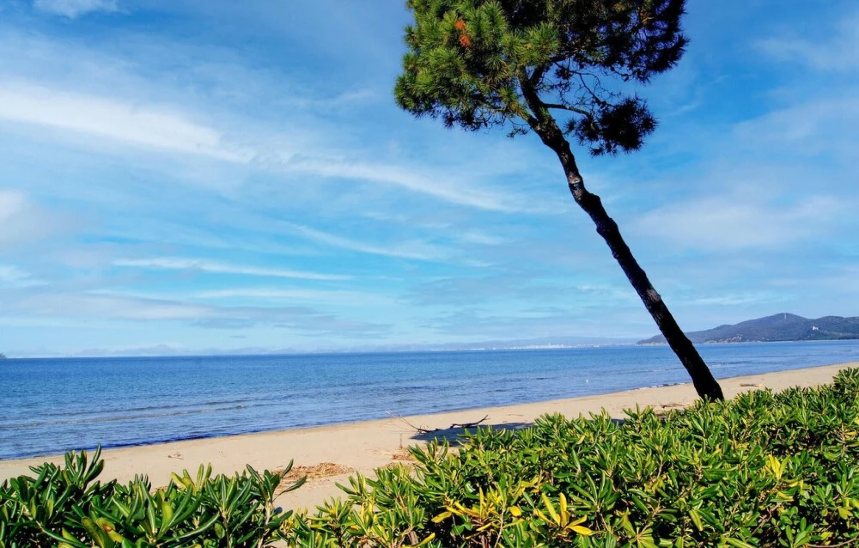 Amazing Home in Porto Santo Stefano With Wifi and 3 Bedrooms