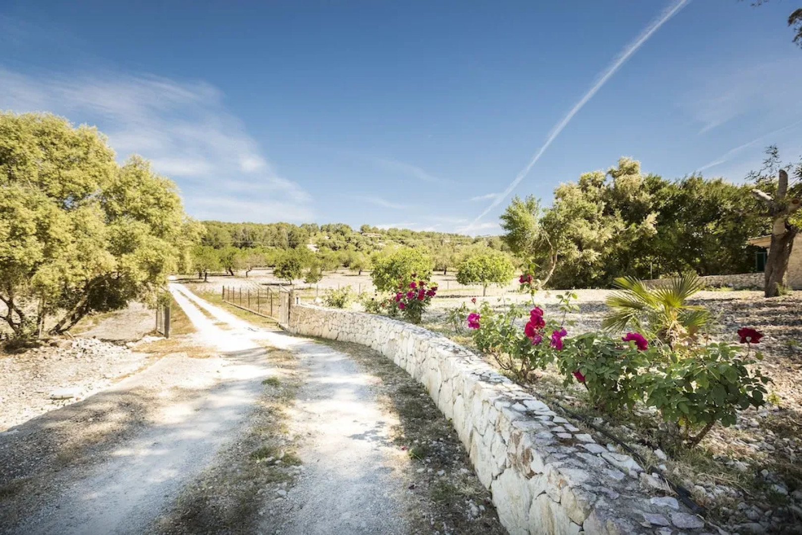 Residence by G Son Rebassa