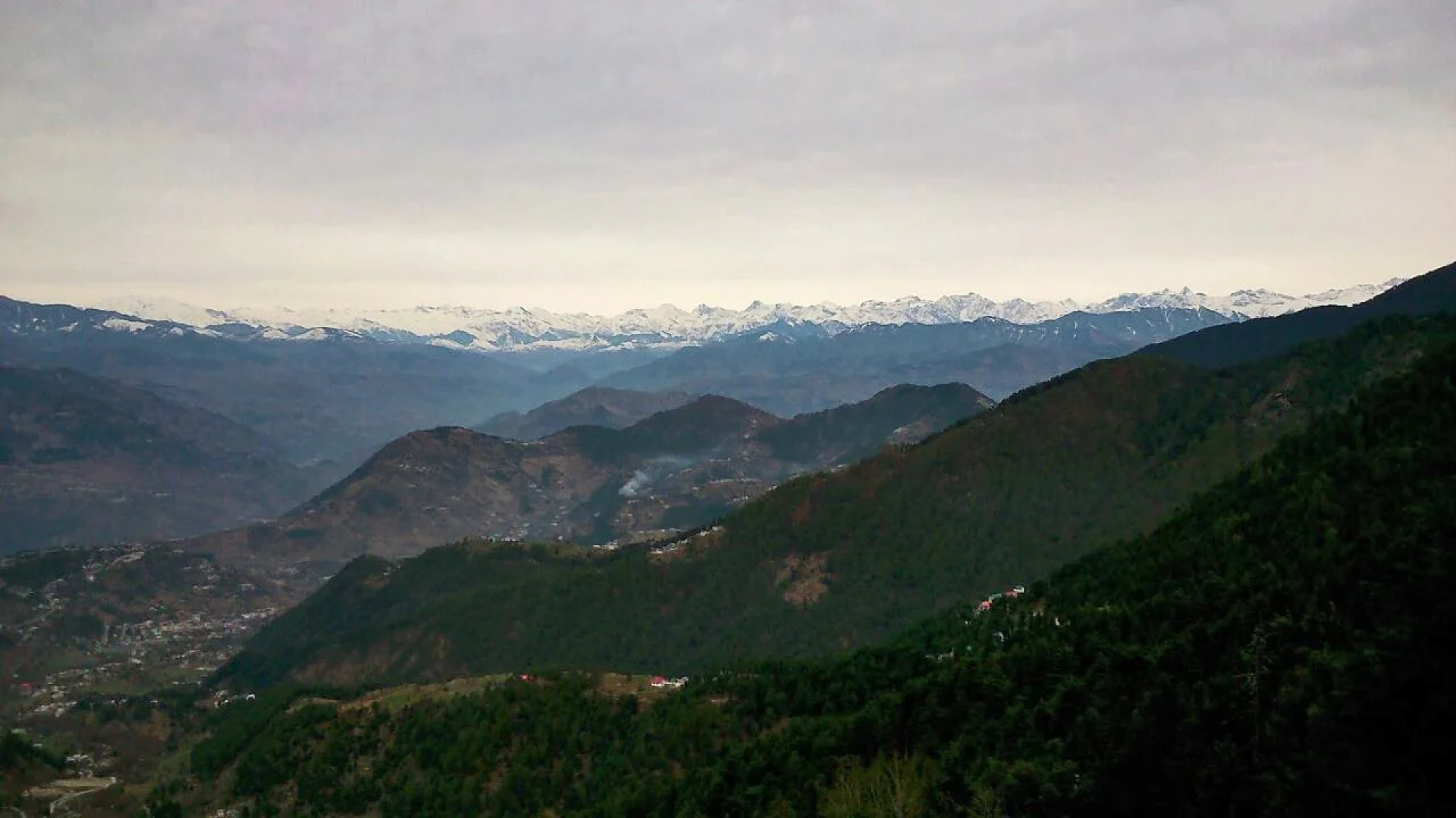 OYO 26147 Hotel Guncha Siddhartha