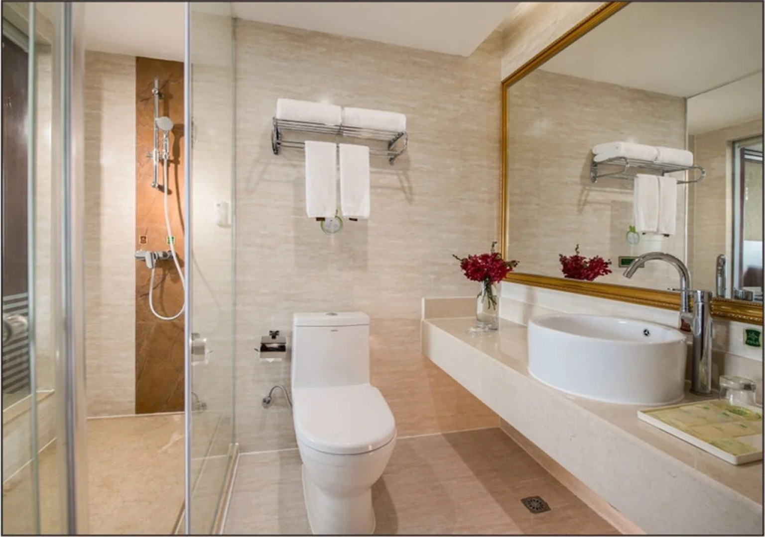 Vienna Hotel Heyuan Hongxing Road Branch