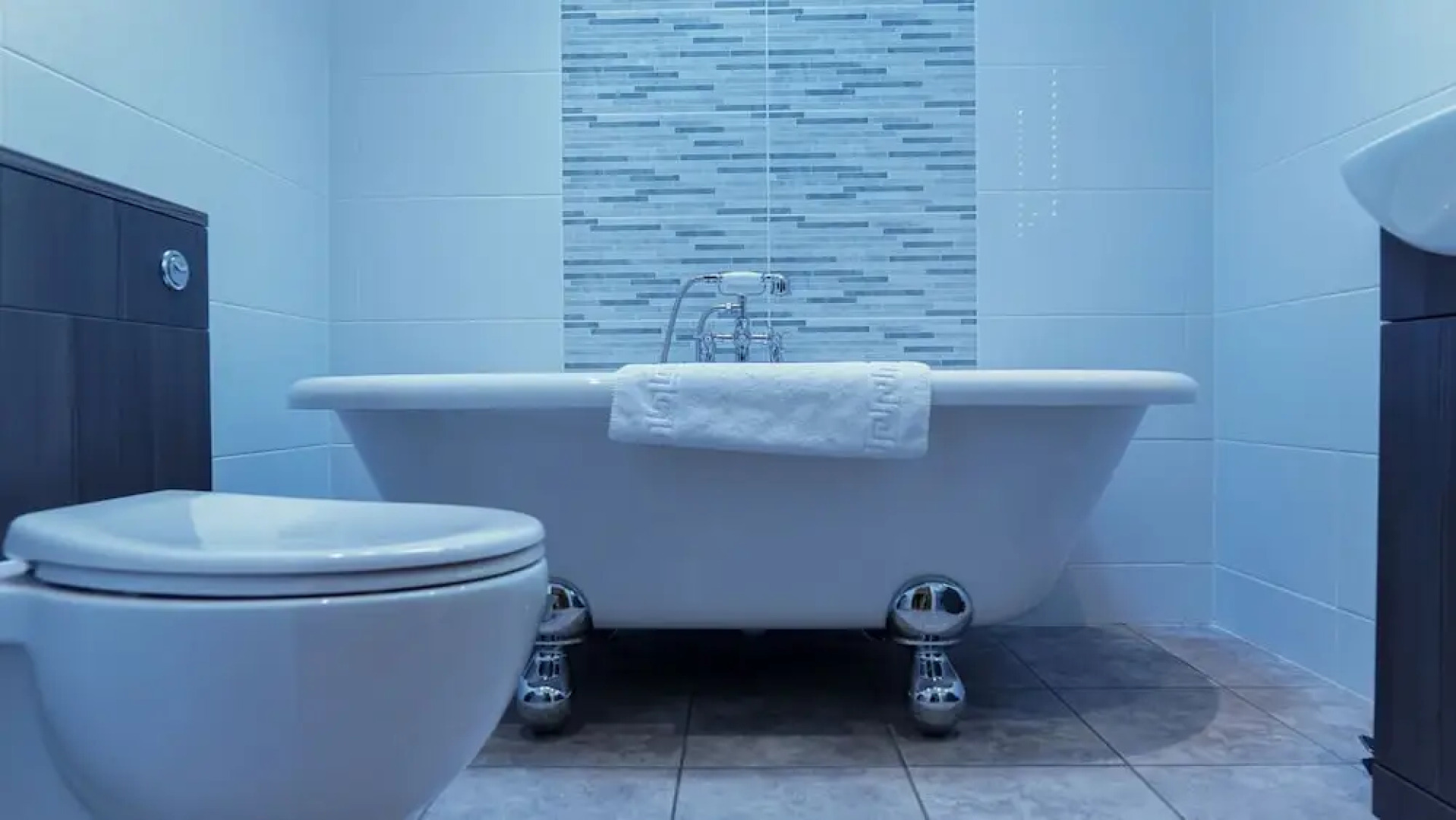 Warren Wood Country Park