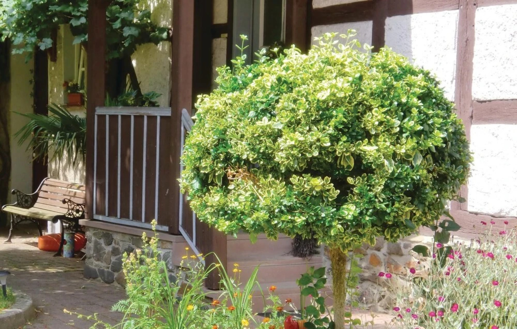 Awesome Home in Harzgerode/dankerode With 3 Bedrooms and Wifi