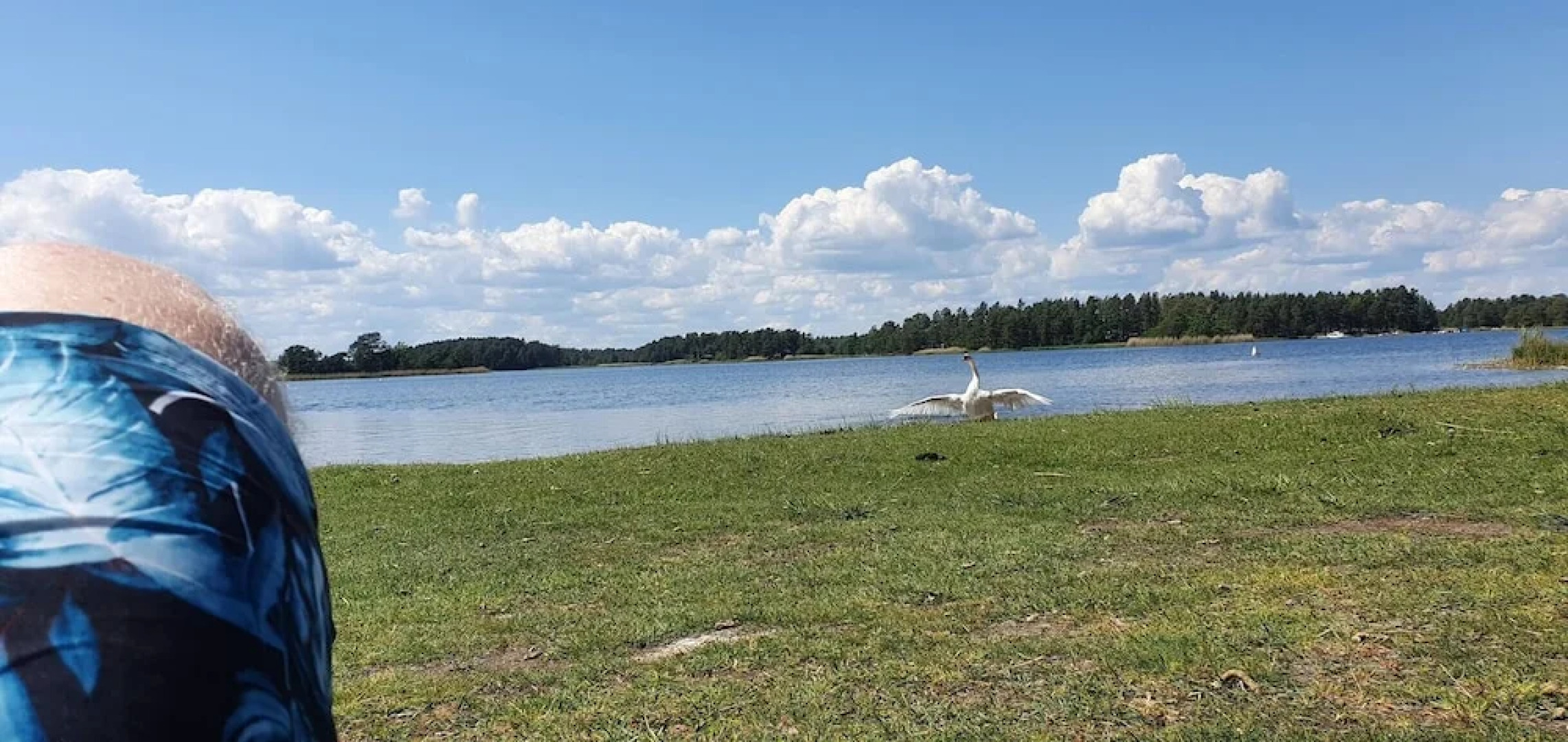 Well-equipped Beachside Cottage