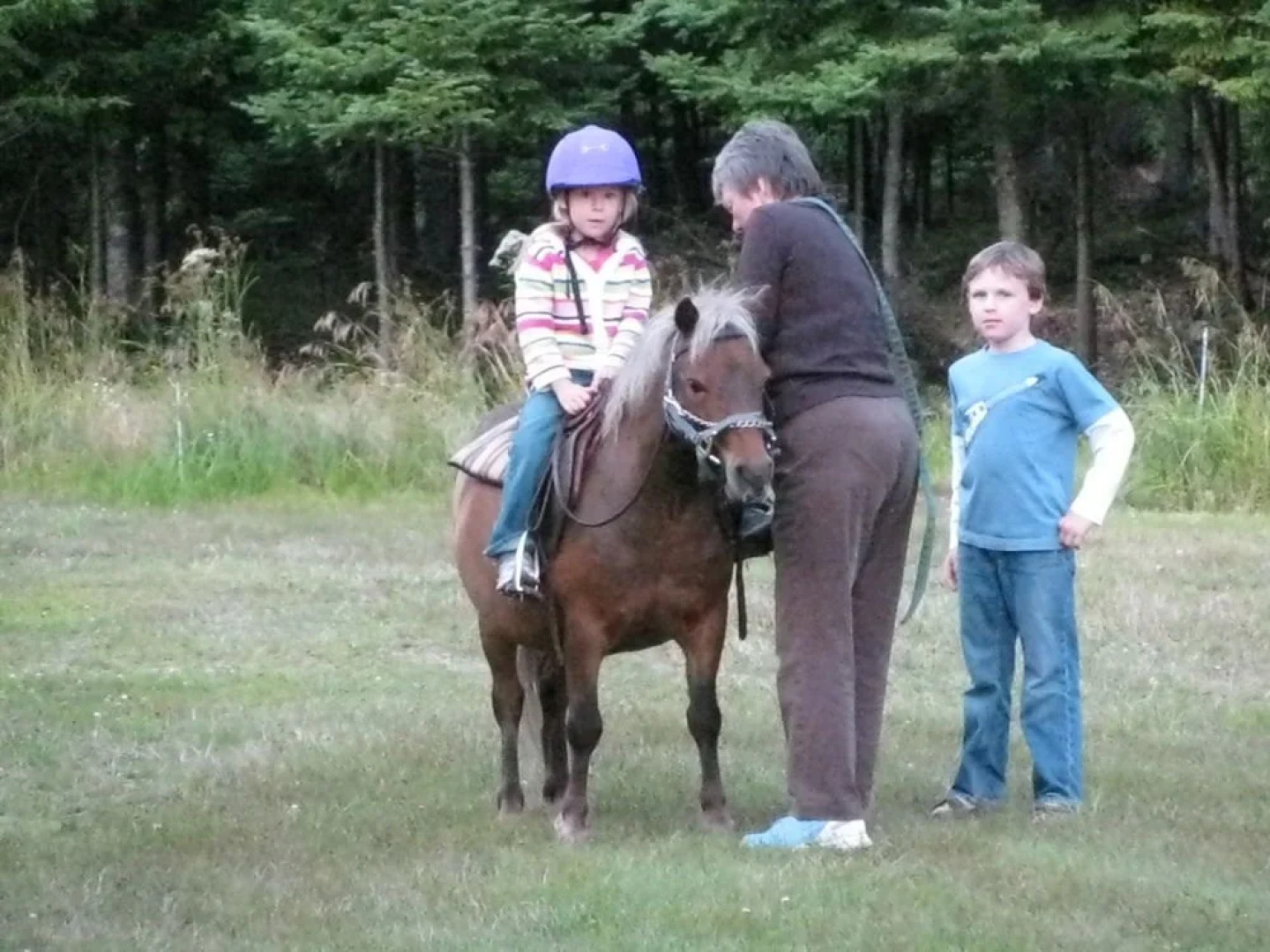 Bondi Village Lodge & Cottages