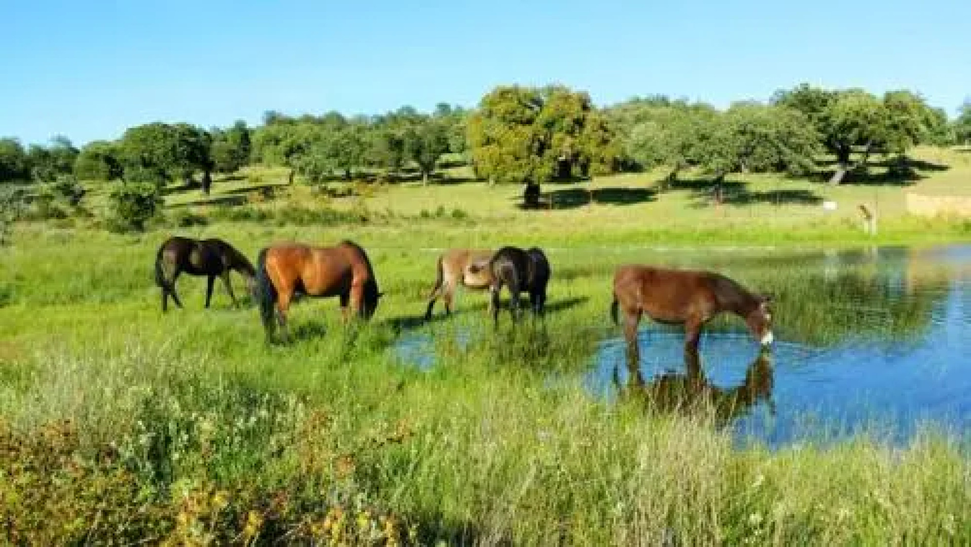 Villa Dulce Chacón Mirandilla Badajoz