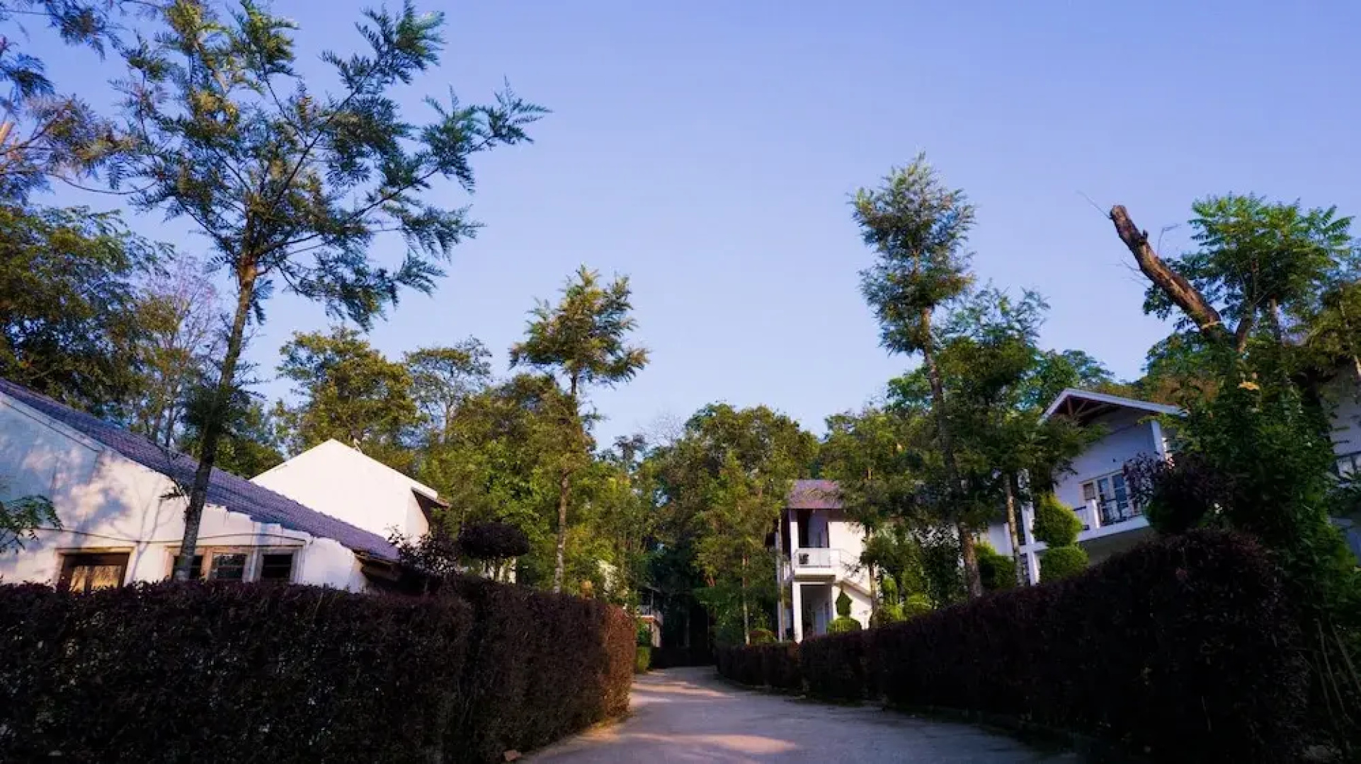 The Blossom Resort