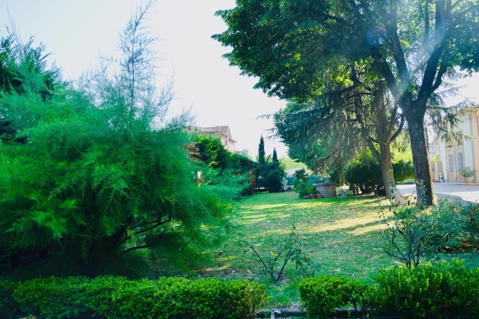 Villa Griffoni Historic Residence