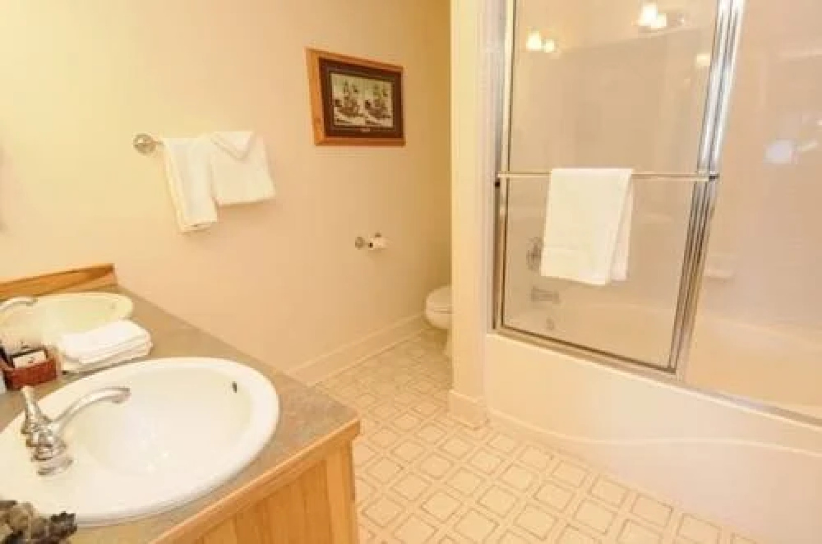 Saddle Ridge Townhomes