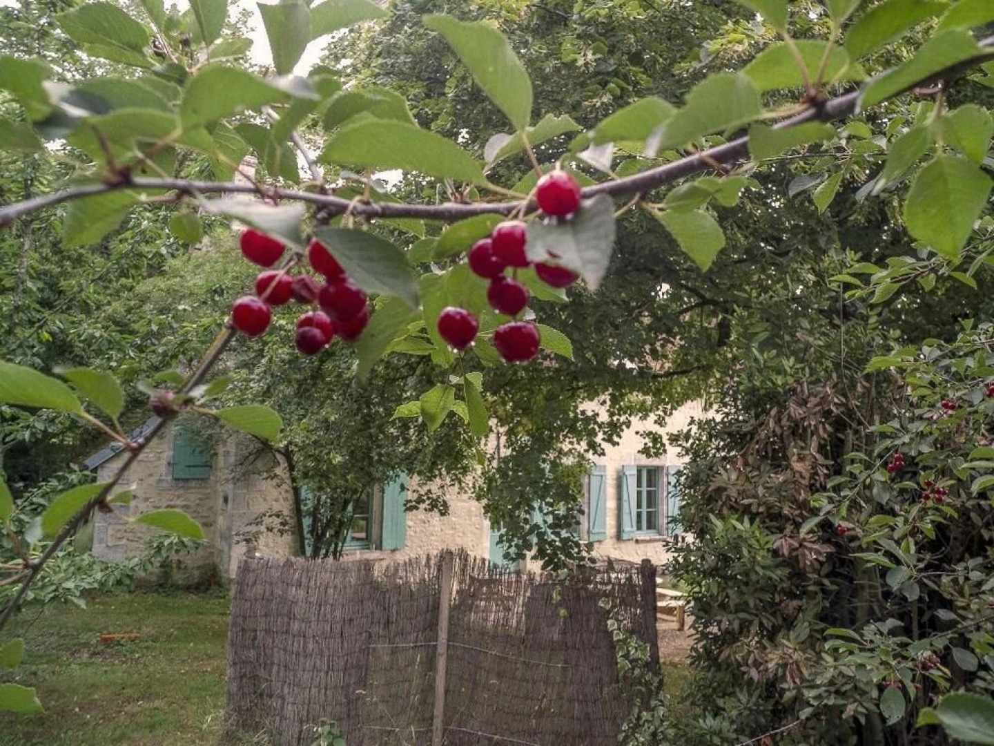 La Biche de Forterre