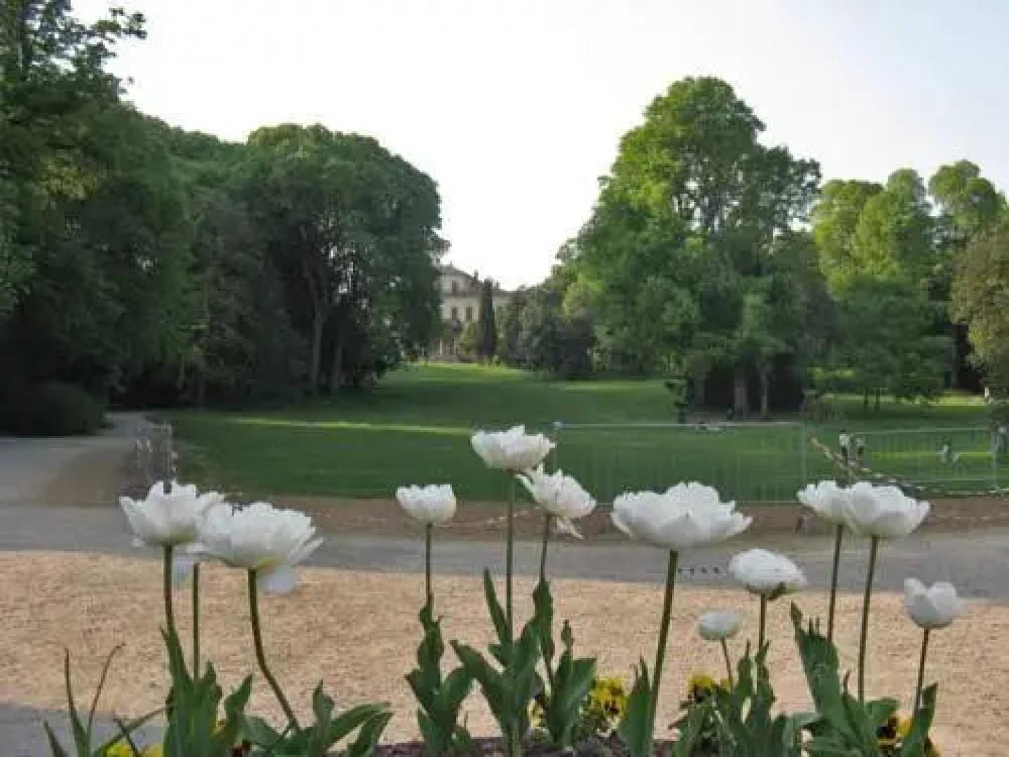 Appartamento Casa Rossa