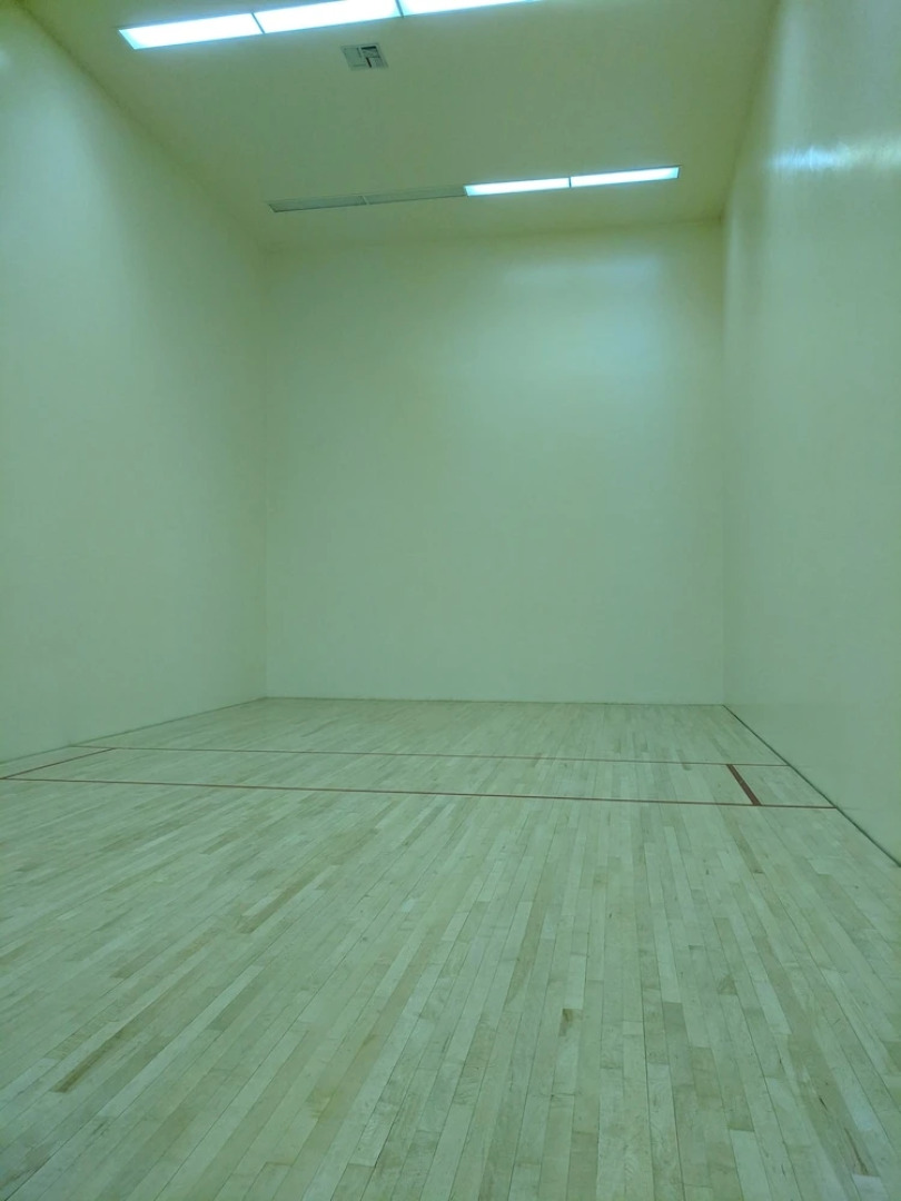 Desert Isle of Palm Springs