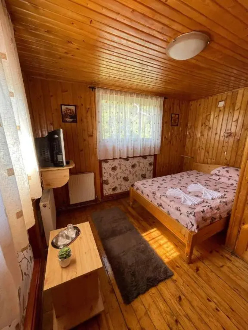 Vila Maria Dambovicioara