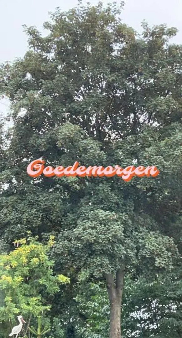 TinyHOuse Chalet Le JasOn