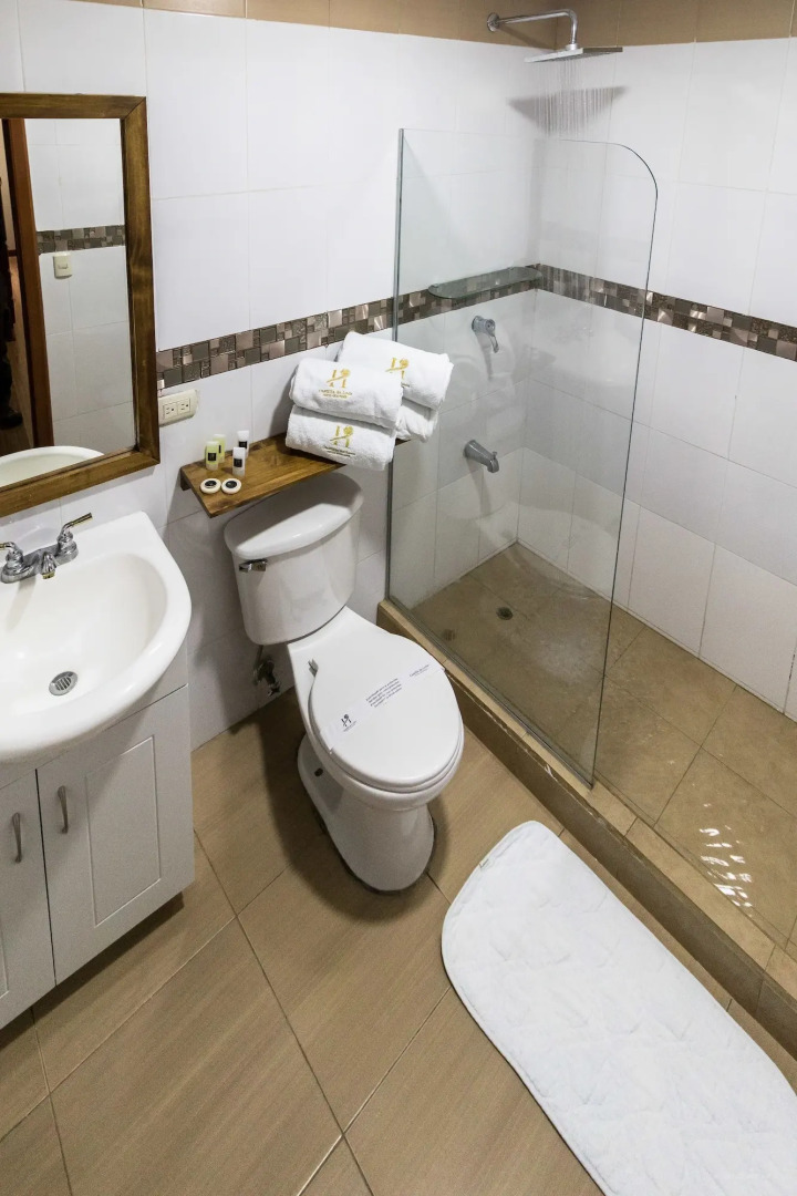 Hotel Boutique Castilla de Leon