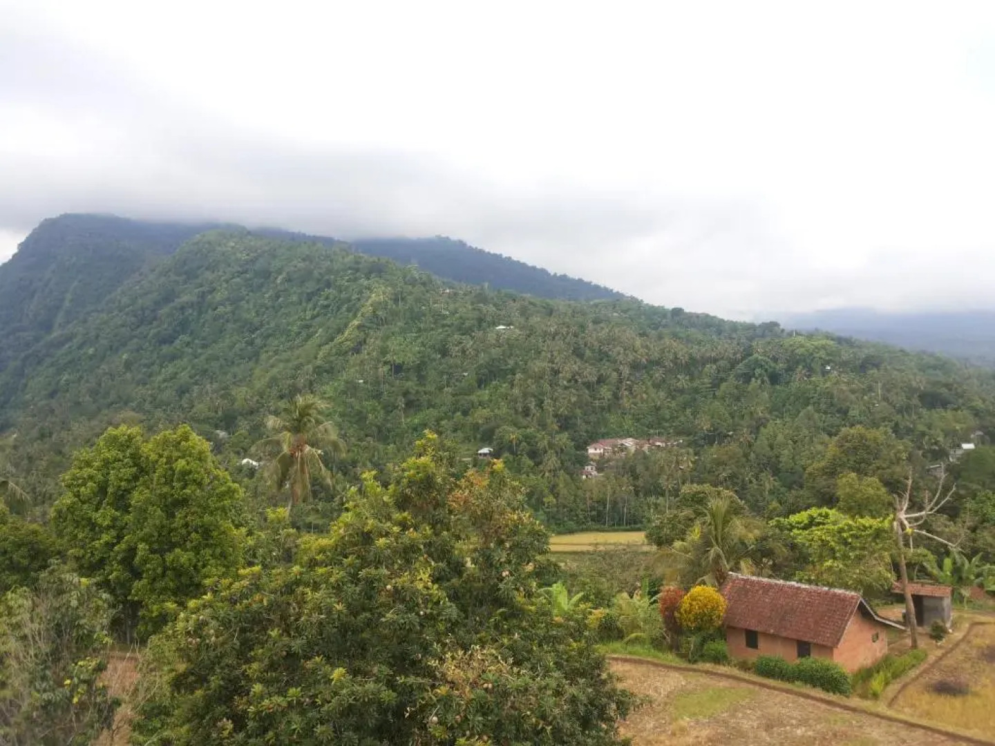 ESA di Kubu Homestay