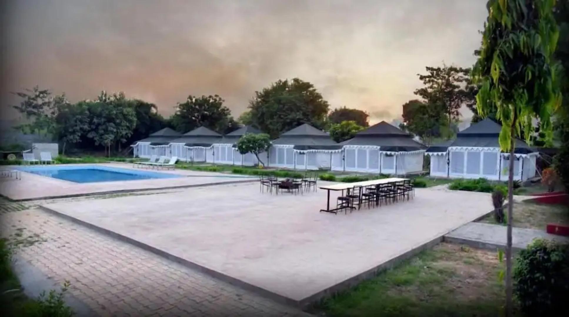 Tiger Queen Ranthambore