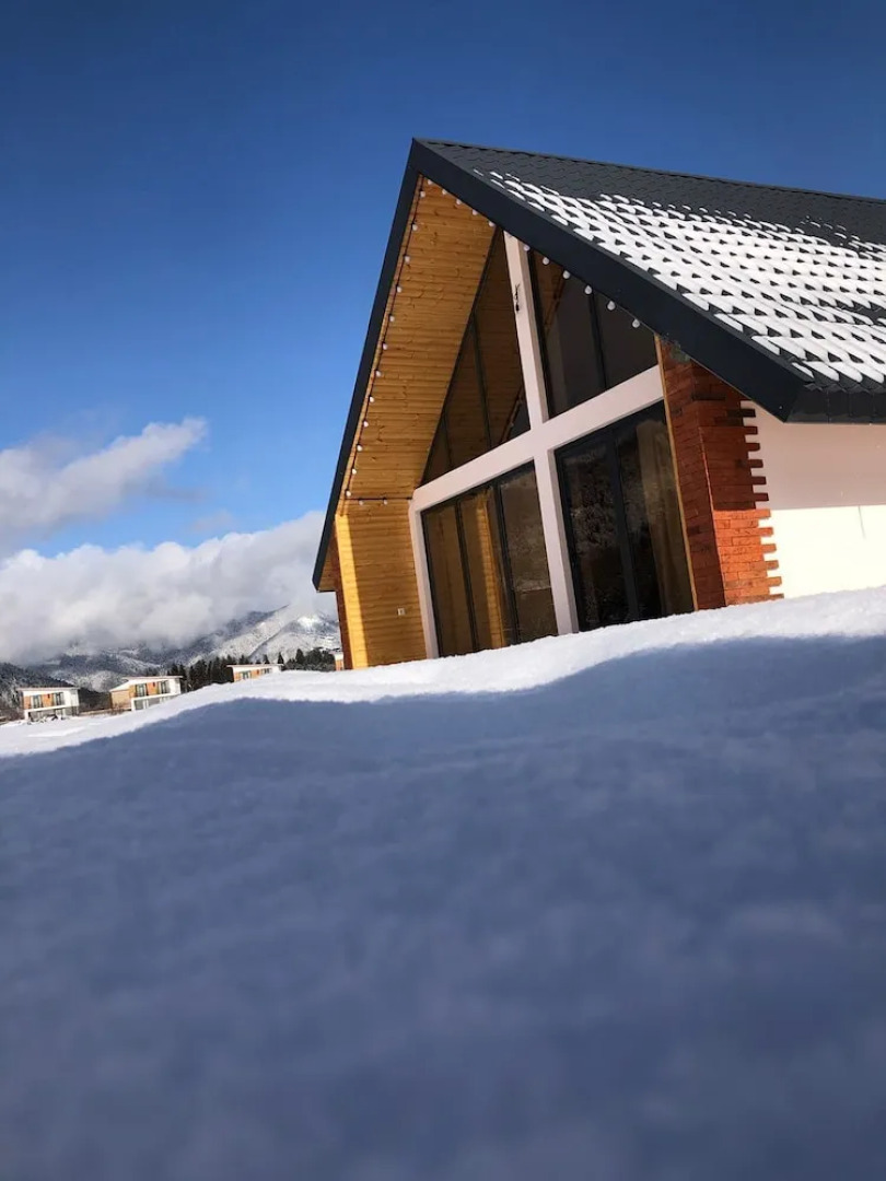 Гостиница Borjomi