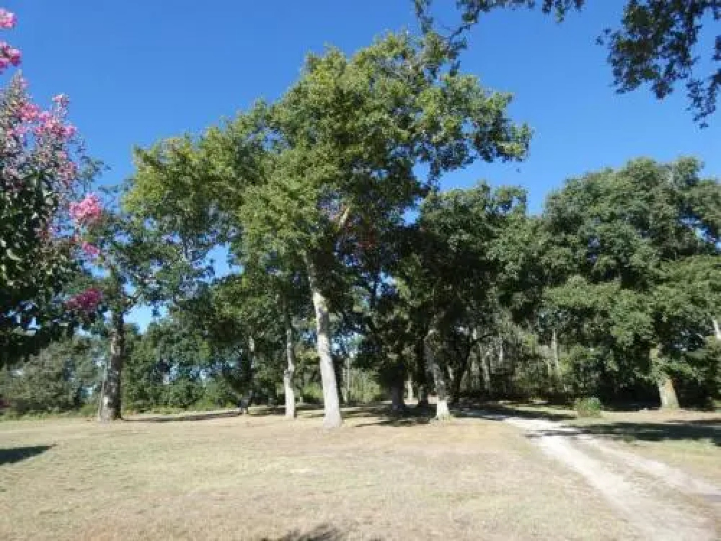 Gîte Pouydesseaux, 5 pièces, 6 personnes - FR-1-360-20